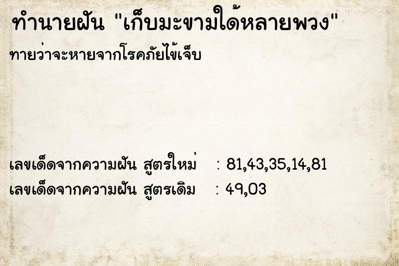 ทำนายฝันเก็บมะขามใด้หลายพวง ทำนายฝันทำนายฝันเก็บมะขามใด้หลายพวง