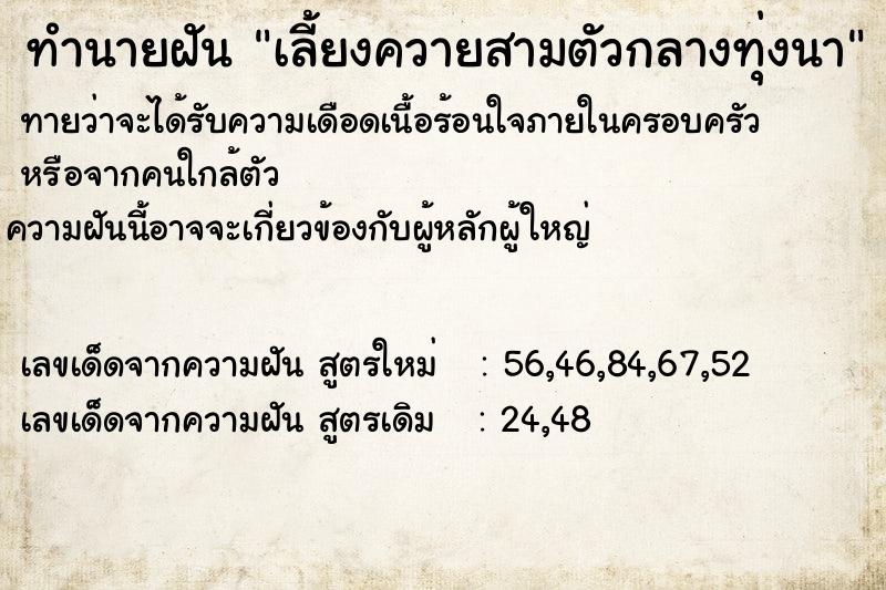 ทำนายฝันเลี้ยงควายสามตัวกลางทุ่งนา ทำนายฝันทำนายฝันเลี้ยงควายสามตัวกลางทุ่งนา