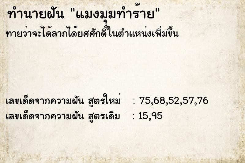 ทำนายฝันทำนายฝันแมงมุมทำร้าย
