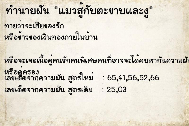 ทำนายฝันแมวสู้กับตะขาบและงู ทำนายฝันทำนายฝันแมวสู้กับตะขาบและงู