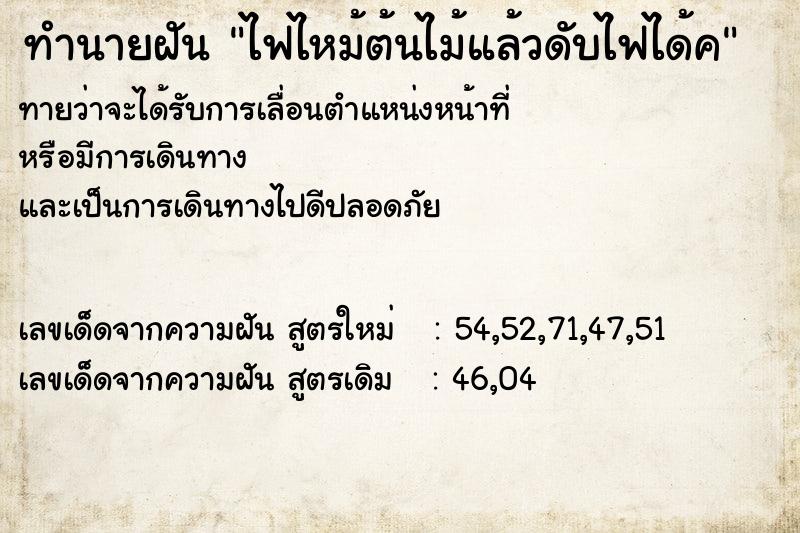 ทำนายฝันทำนายฝันไฟไหม้ต้นไม้แล้วดับไฟได้ค