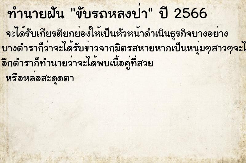 ทำนายฝันทำนายฝันขับรถหลงป่า