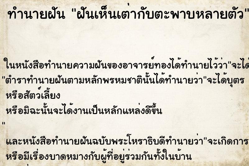 ทำนายฝันฝันเห็นเต่ากับตะพาบหลายตัว ทำนายฝันทำนายฝันฝันเห็นเต่ากับตะพาบหลายตัว