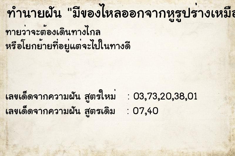 ทำนายฝัน มีของไหลออกจากหูรูปร่างเหมือนแมว ทำนายฝัน มีของไหลออกจากหูรูปร่างเหมือนแมว