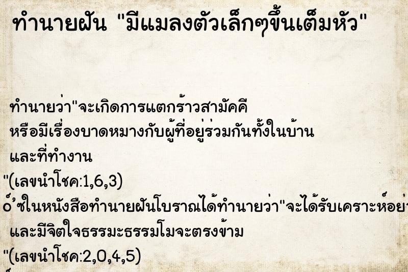 ทำนายฝัน มีแมลงตัวเล็กๆขึ้นเต็มหัว