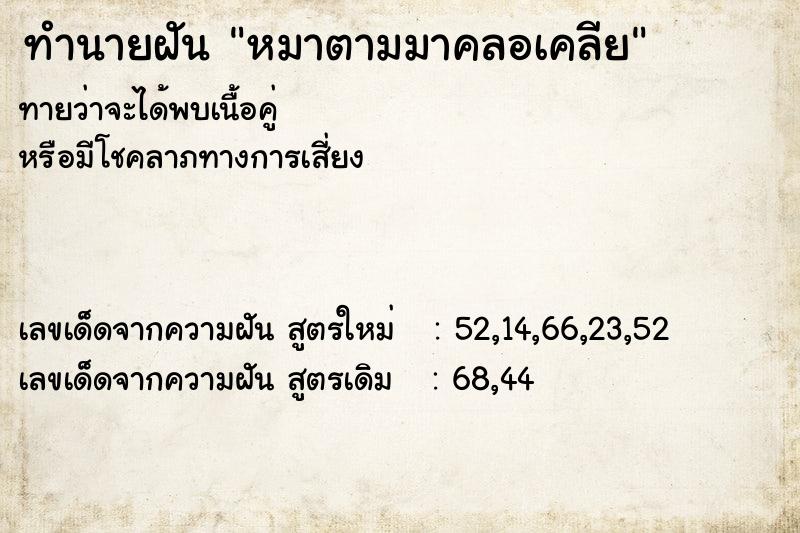 ทำนายฝันหมาตามมาคลอเคลีย ทำนายฝันทำนายฝันหมาตามมาคลอเคลีย