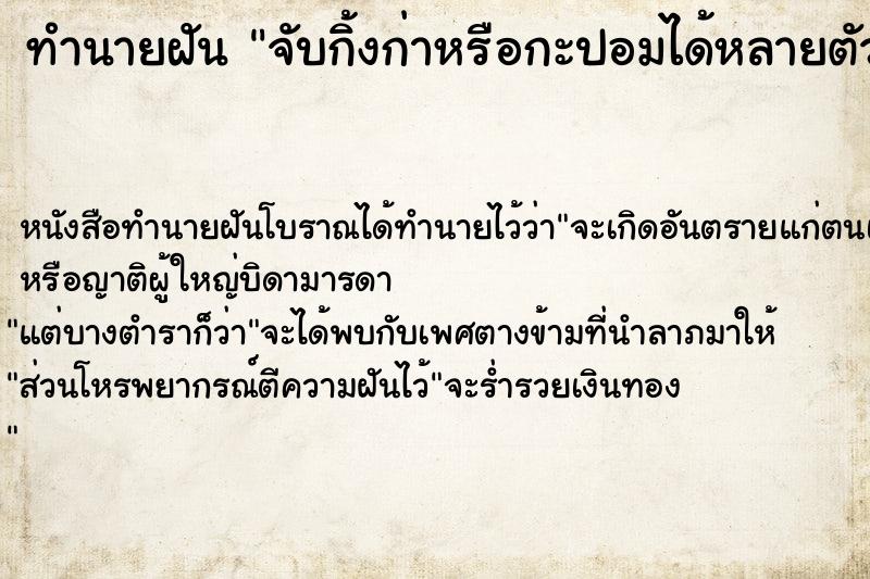 ทำนายฝันจับกิ้งก่าหรือกะปอมได้หลายตัว ทำนายฝันทำนายฝันจับกิ้งก่าหรือกะปอมได้หลายตัว