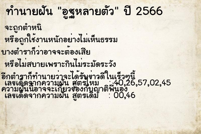 ทำนายฝัน อูฐหลายตัว ทำนายฝัน อูฐหลายตัว