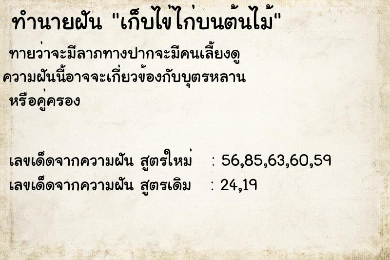 ทำนายฝันเก็บไข่ไก่บนต้นไม้ ทำนายฝันทำนายฝันเก็บไข่ไก่บนต้นไม้