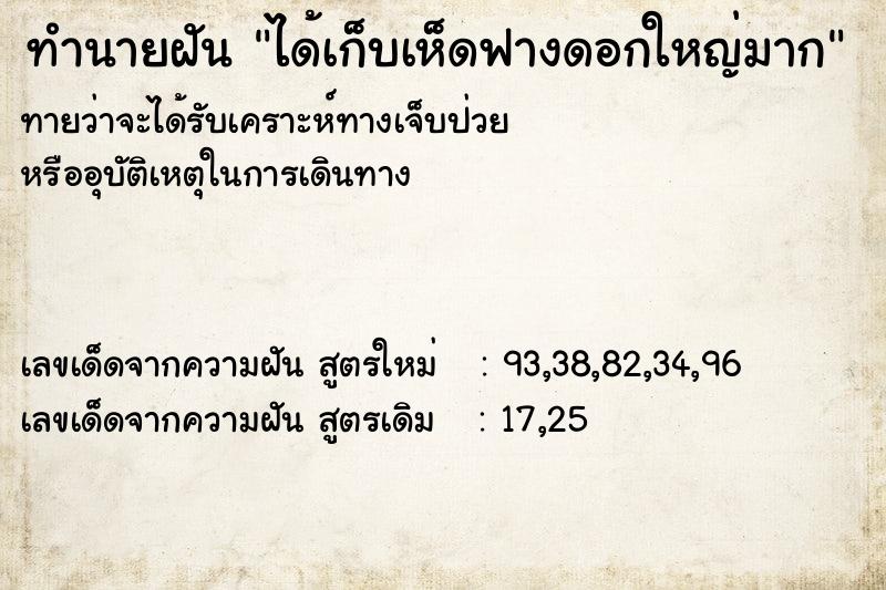 ทำนายฝันทำนายฝันได้เก็บเห็ดฟางดอกใหญ่มาก