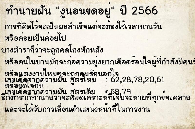 ทำนายฝัน งูนอนขดอยู่ แม่นๆ ฟรี ด้วยตำราหนังสือทำนายฝันโบราณ ทำนายฝันงูนอนขดอยู่