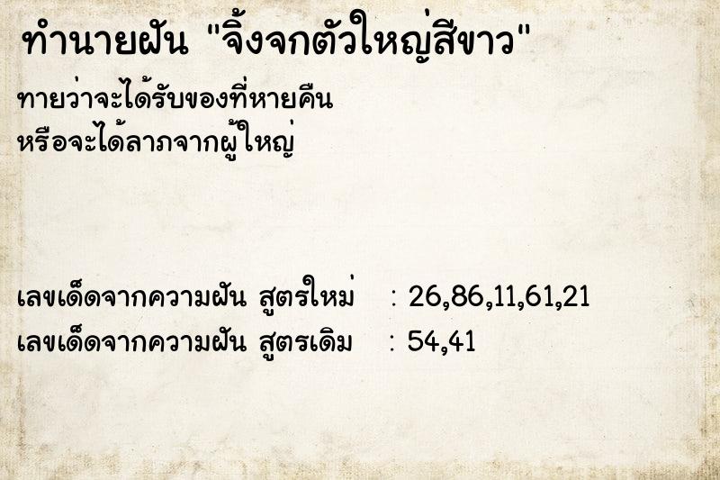 ทำนายฝันจิ้งจกตัวใหญ่สีขาว ทำนายฝันทำนายฝันจิ้งจกตัวใหญ่สีขาว