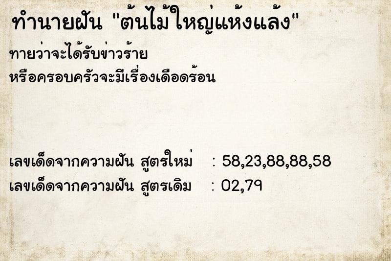 ทำนายฝันทำนายฝันต้นไม้ใหญ่แห้งแล้ง