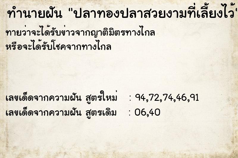 ทำนายฝันปลาทองปลาสวยงามที่เลี้ยงไว้ ทำนายฝันทำนายฝันปลาทองปลาสวยงามที่เลี้ยงไว้