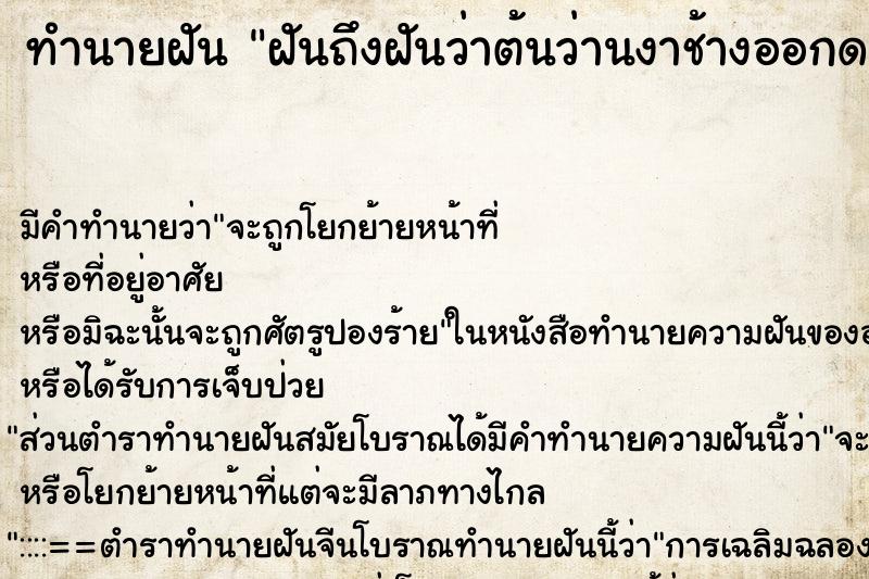 ทำนายฝัน ฝันถึงฝันว่าต้นว่านงาช้างออกดอก1ดอก ทำนายฝัน ฝันถึงฝันว่าต้นว่านงาช้างออกดอก1ดอก