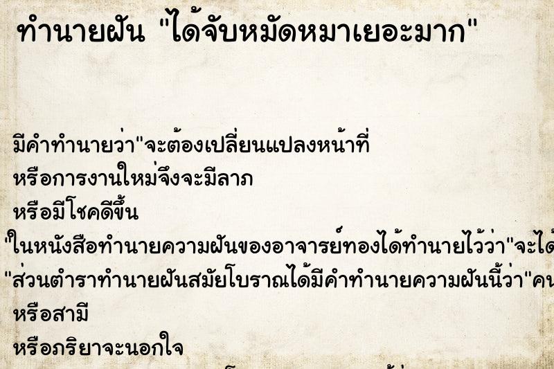 ทำนายฝัน ได้จับหมัดหมาเยอะมาก ทำนายฝัน ได้จับหมัดหมาเยอะมาก