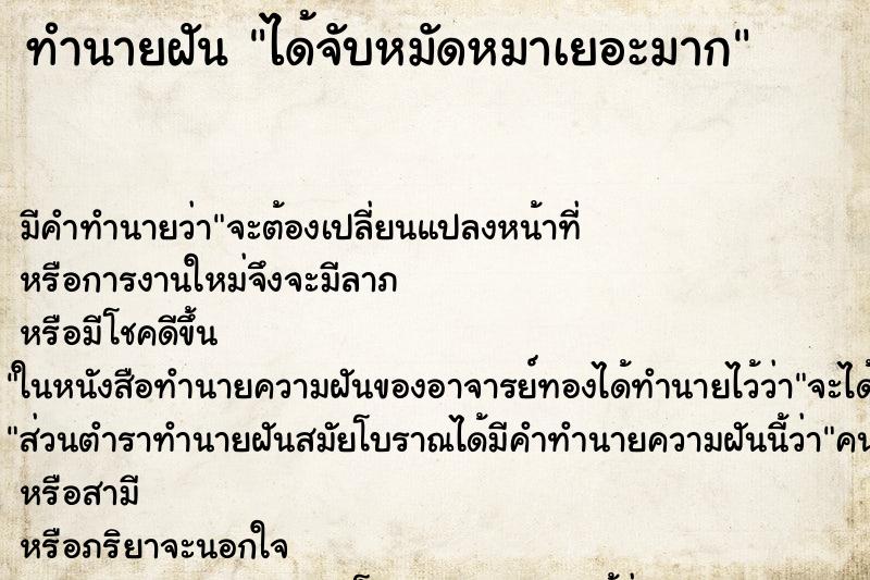 ทำนายฝัน ได้จับหมัดหมาเยอะมาก ตำราโบราณ แม่นที่สุดในโลก