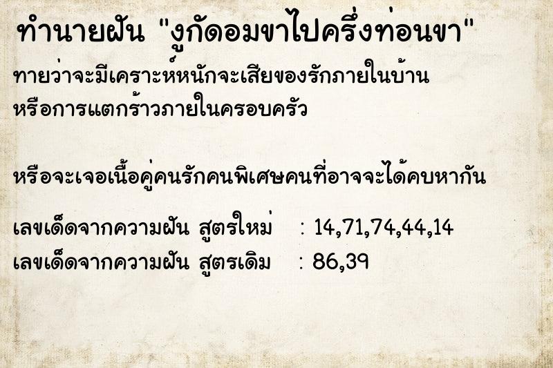 ทำนายฝัน งูกัดอมขาไปครึ่งท่อนขา ทำนายฝัน งูกัดอมขาไปครึ่งท่อนขา