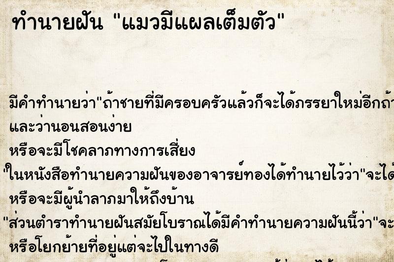 ทำนายฝันแมวมีแผลเต็มตัว ทำนายฝันทำนายฝันแมวมีแผลเต็มตัว