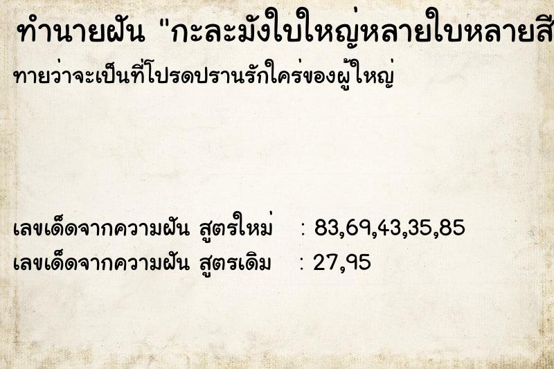 ทำนายฝัน กะละมังใบใหญ่หลายใบหลายสี ทำนายฝัน กะละมังใบใหญ่หลายใบหลายสี