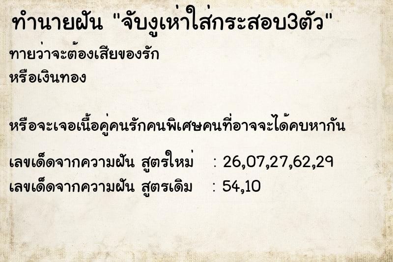 ทำนายฝันจับงูเห่าใส่กระสอบ3ตัว ทำนายฝันทำนายฝันจับงูเห่าใส่กระสอบ3ตัว