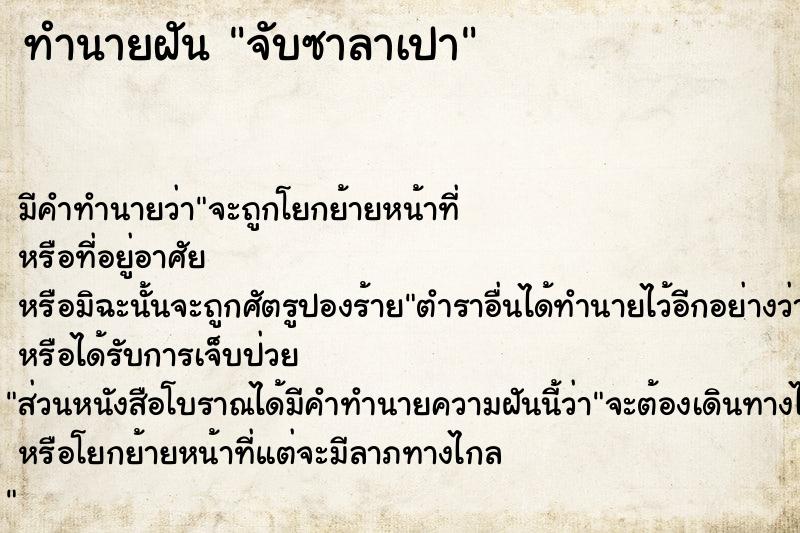 ทำนายฝันจับซาลาเปา ทำนายฝันทำนายฝันจับซาลาเปา