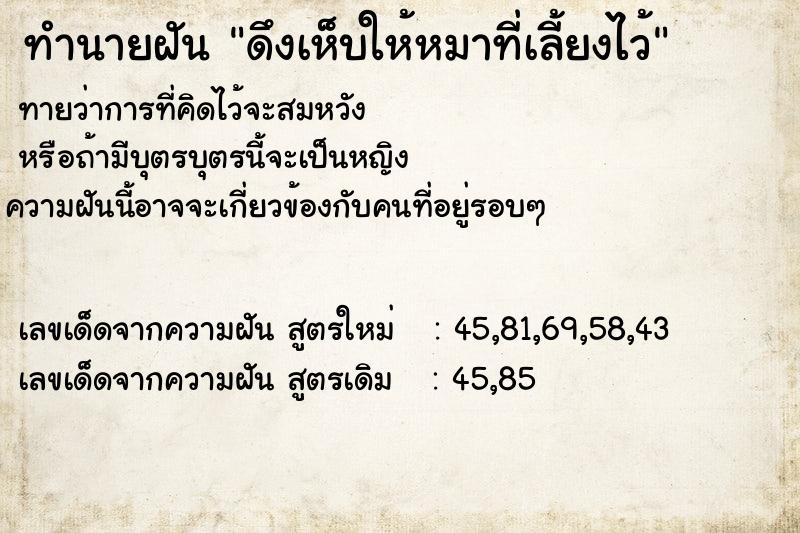 ทำนายฝันดึงเห็บให้หมาที่เลี้ยงไว้ ทำนายฝันทำนายฝันดึงเห็บให้หมาที่เลี้ยงไว้
