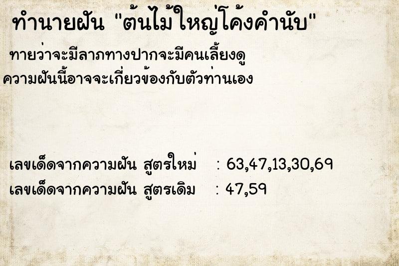 ทำนายฝันต้นไม้ใหญ่โค้งคำนับ ทำนายฝันทำนายฝันต้นไม้ใหญ่โค้งคำนับ