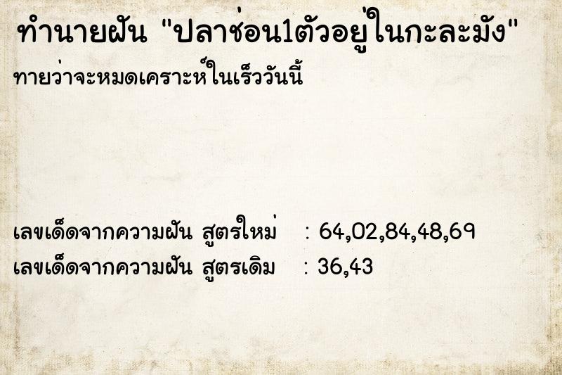 ทำนายฝันปลาช่อน1ตัวอยู่ในกะละมัง ทำนายฝันทำนายฝันปลาช่อน1ตัวอยู่ในกะละมัง