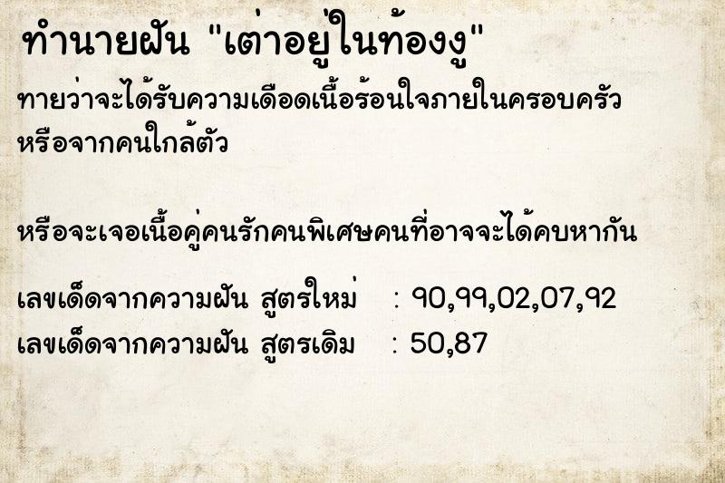 ทำนายฝันเต่าอยู่ในท้องงู ทำนายฝันทำนายฝันเต่าอยู่ในท้องงู