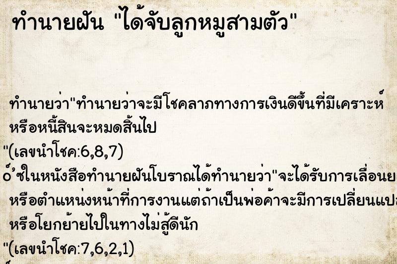 ทำนายฝันทำนายฝันได้จับลูกหมูสามตัว