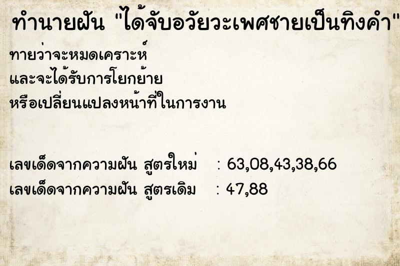 ทำนายฝันทำนายฝันได้จับอวัยวะเพศชายเป็นทิงคำ
