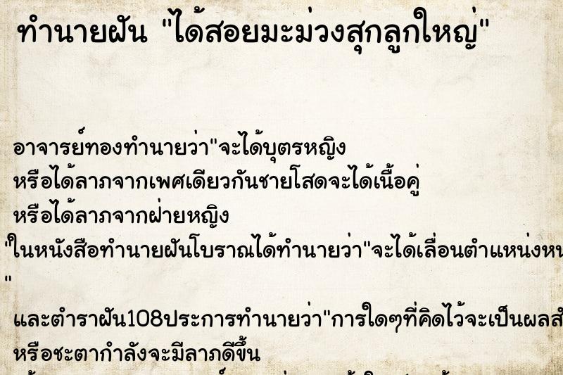 ทำนายฝันทำนายฝันได้สอยมะม่วงสุกลูกใหญ่