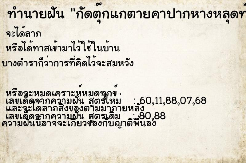 ทำนายฝัน กัดตุ๊กแกตายคาปากหางหลุดท้องแตก ทำนายฝัน กัดตุ๊กแกตายคาปากหางหลุดท้องแตก