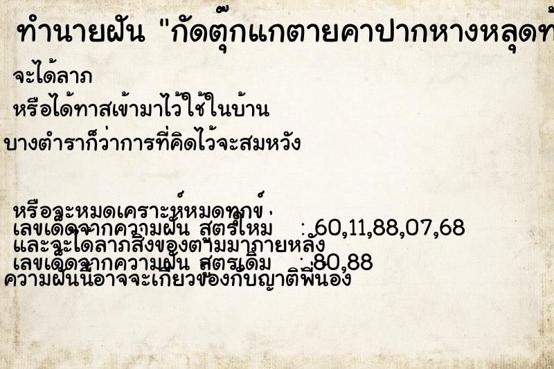 ทำนายฝัน กัดตุ๊กแกตายคาปากหางหลุดท้องแตก ตำราโบราณ แม่นที่สุดในโลก