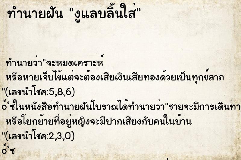 ทำนายฝัน งูแลบลิ้นใส่ ทำนายฝัน งูแลบลิ้นใส่