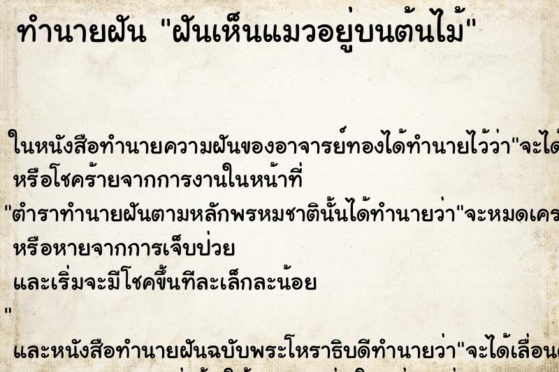 ทำนายฝันฝันเห็นแมวอยู่บนต้นไม้ ทำนายฝันทำนายฝันฝันเห็นแมวอยู่บนต้นไม้