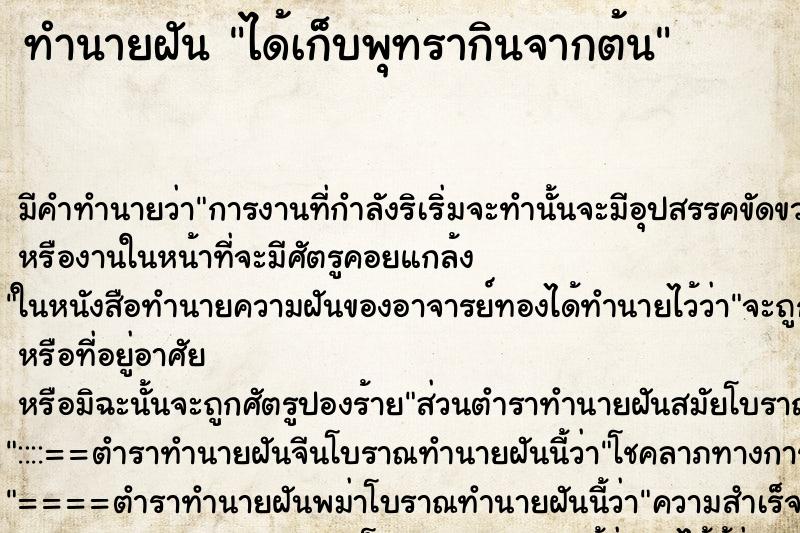 ทำนายฝัน ได้เก็บพุทรากินจากต้น ตำราโบราณ แม่นที่สุดในโลก