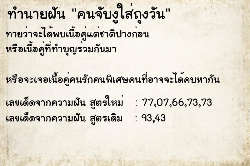 ทำนายฝัน คนจับงูใส่ถุงวัน