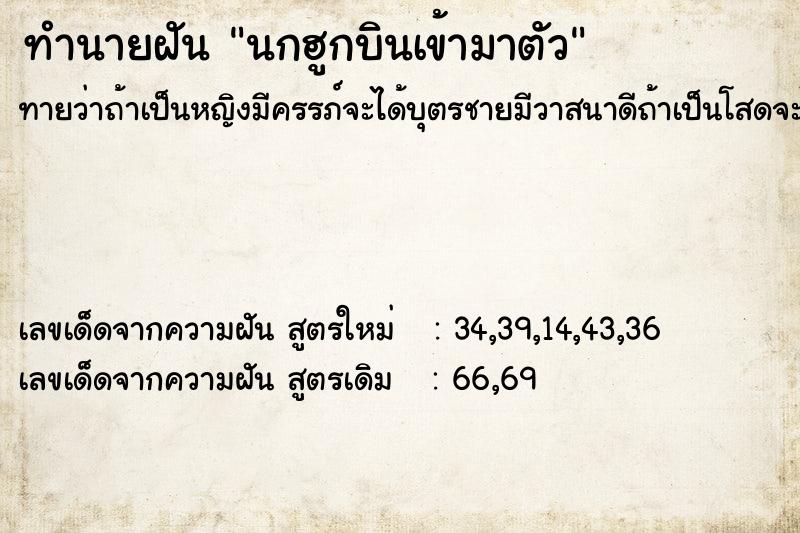 ทำนายฝันทำนายฝันนกฮูกบินเข้ามาตัว