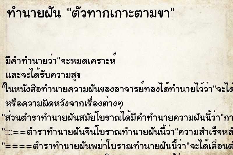 ทำนายฝัน ตัวทากเกาะตามขา ทำนายฝัน ตัวทากเกาะตามขา