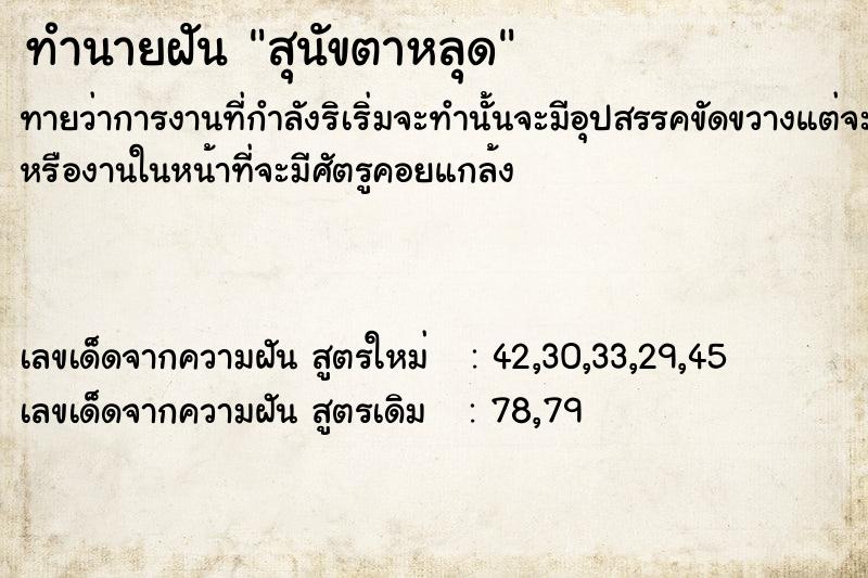 ทำนายฝันสุนัขตาหลุด ทำนายฝันทำนายฝันสุนัขตาหลุด