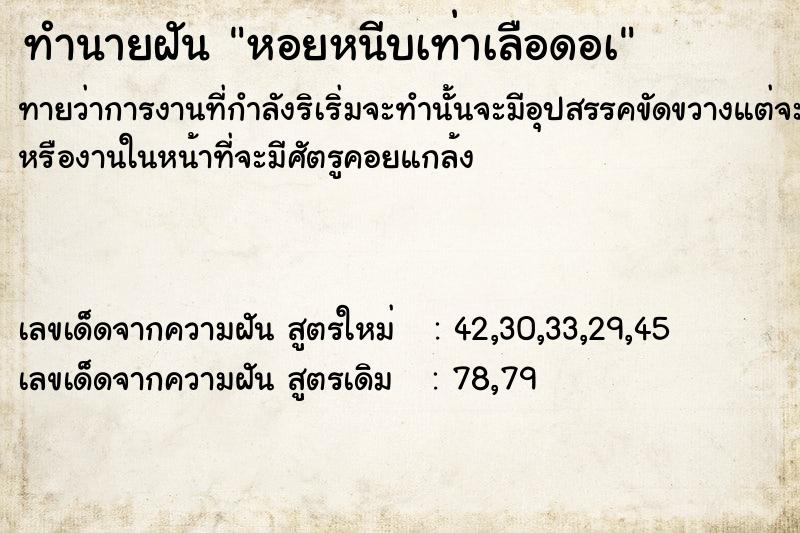 ทำนายฝันทำนายฝันหอยหนีบเท่าเลือดอà