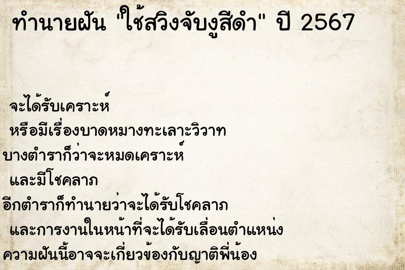 ทำนายฝันใช้สวิงจับงูสีดำ ทำนายฝันทำนายฝันใช้สวิงจับงูสีดำ