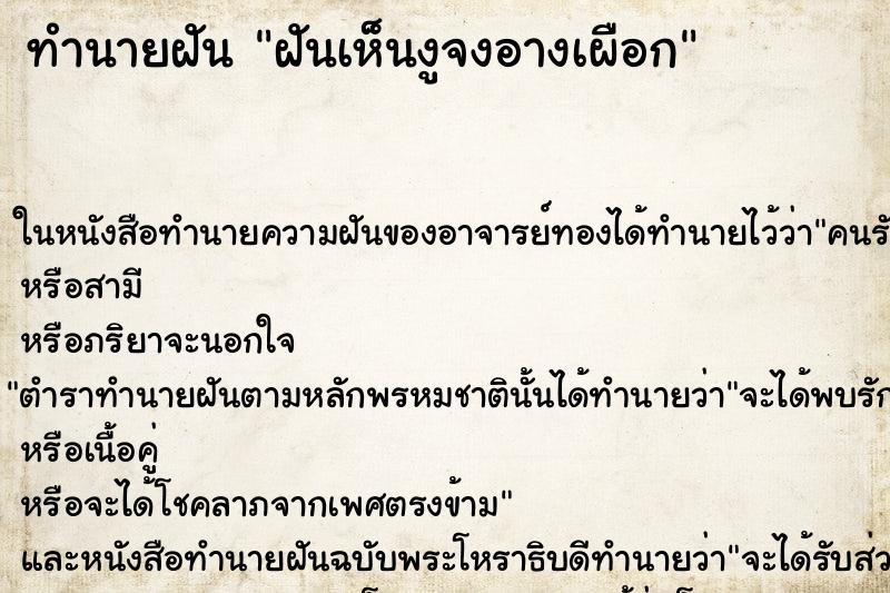 ทำนายฝันฝันเห็นงูจงอางเผือก ทำนายฝันทำนายฝันฝันเห็นงูจงอางเผือก