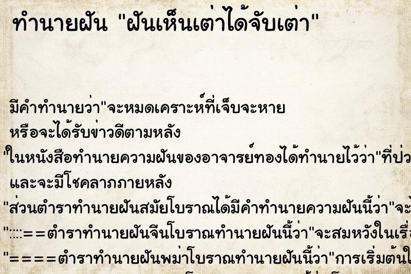 ทำนายฝันฝันเห็นเต่าได้จับเต่า ทำนายฝันทำนายฝันฝันเห็นเต่าได้จับเต่า