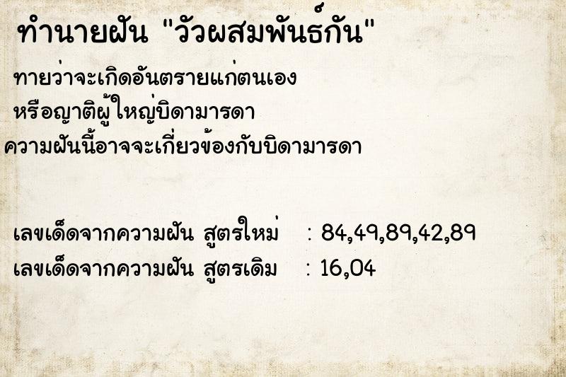 ทำนายฝันวัวผสมพันธ์กัน ทำนายฝันทำนายฝันวัวผสมพันธ์กัน