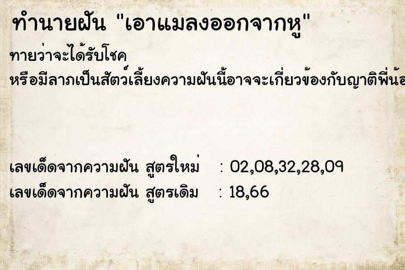 ทำนายฝัน เอาแมลงออกจากหู ทำนายฝัน เอาแมลงออกจากหู