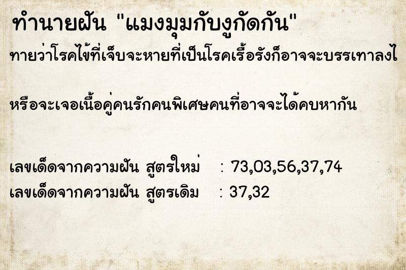 ทำนายฝัน แมงมุมกับงูกัดกัน