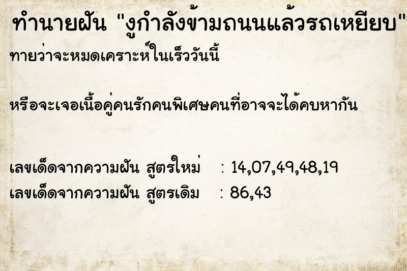 ทำนายฝันงูกำลังข้ามถนนแล้วรถเหยียบ ทำนายฝันทำนายฝันงูกำลังข้ามถนนแล้วรถเหยียบ